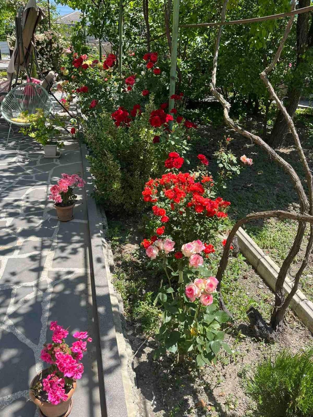 Ekas Rosengarten Gori Luaran gambar