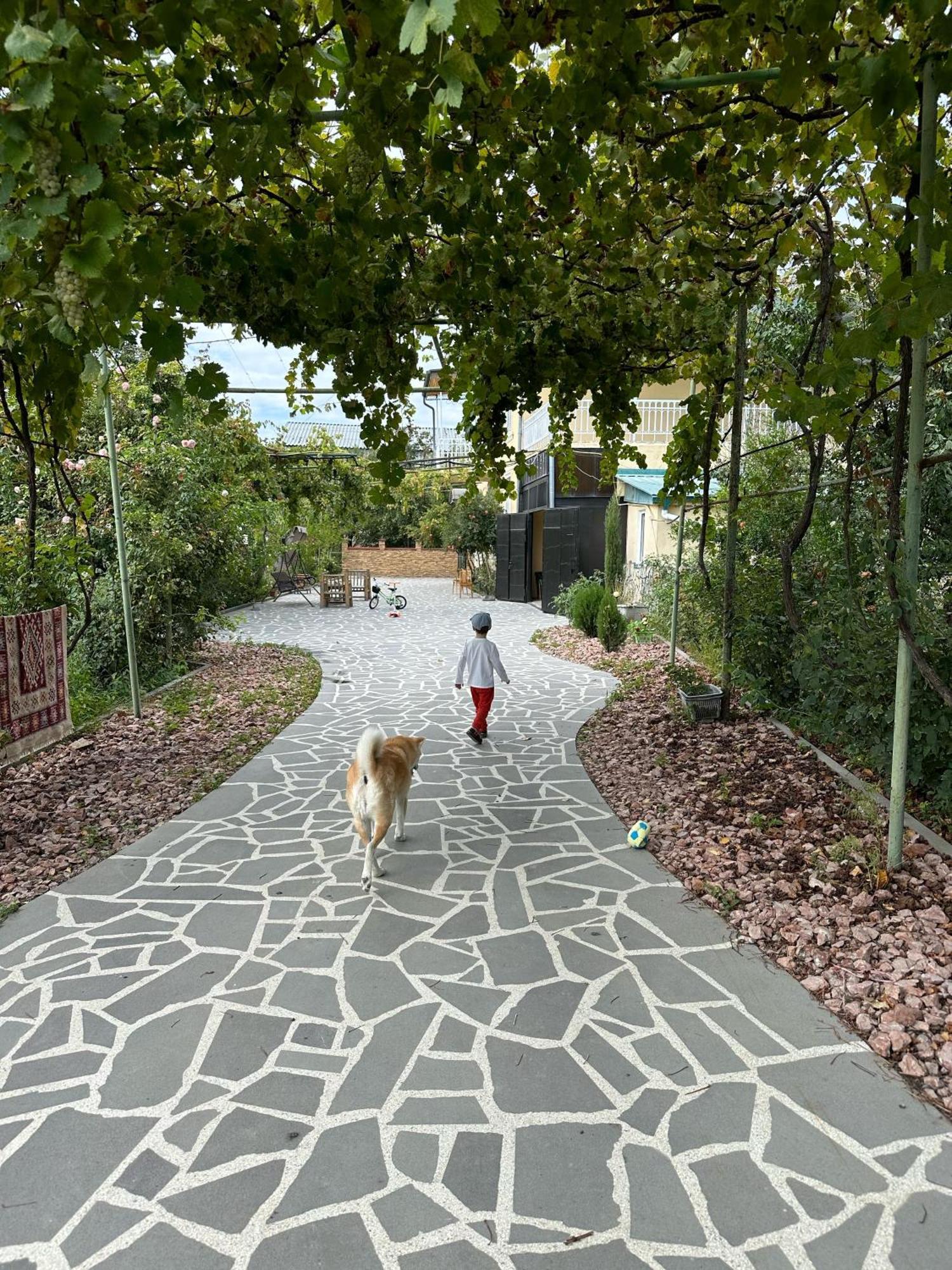 Ekas Rosengarten Gori Luaran gambar